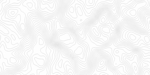 White topography topology vector white background fresh contour map texture. white seamless pattern Abstract background with a wave Topography and geography map grid abstract backdrop.