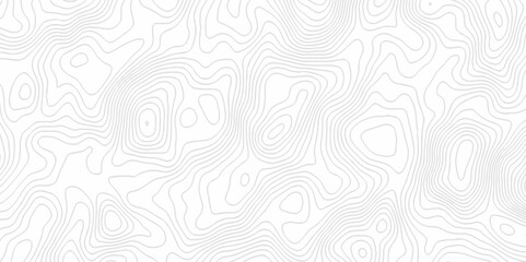 White topography topology vector white background fresh contour map texture. white seamless pattern Abstract background with a wave Topography and geography map grid abstract backdrop.
