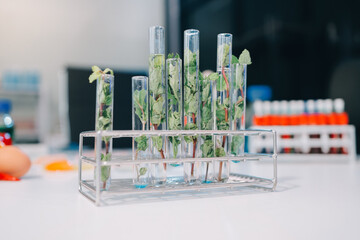 Team Asian scientists in a lab conducting food research using a microscope and lab equipment,...