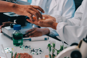 Team Asian scientists in a lab conducting food research using a microscope and lab equipment,...