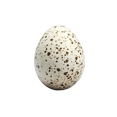 Close-Up of a Speckled Quail Egg on White Background