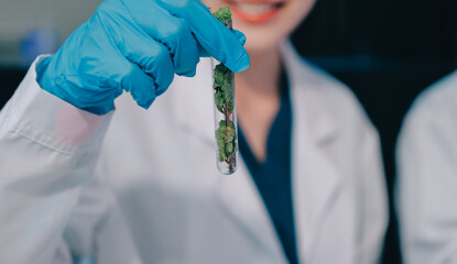 Team Asian scientists in a lab conducting food research using a microscope and lab equipment,...