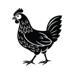 Hen Vector silhouette isolated on a white background