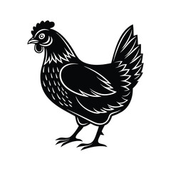 Hen Vector silhouette isolated on a white background