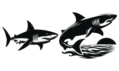 shark vector illustration