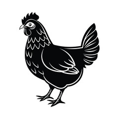 Hen Vector silhouette isolated on a white background