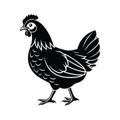 Hen Vector silhouette isolated on a white background
