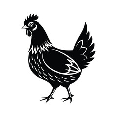 Hen Vector silhouette isolated on a white background