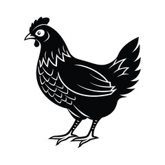 Hen Vector silhouette isolated on a white background