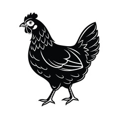 Hen Vector silhouette isolated on a white background