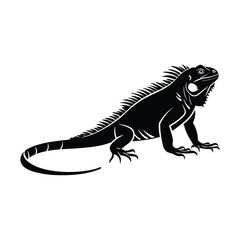 Iguana silhouette 