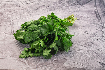 Fresh green cilantro branches heap
