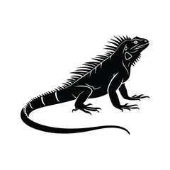 Iguana silhouette 