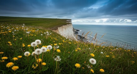 Scenic coastal view with wildflowers in foreground, cliffs under cloudy sky, tranquil ocean backdrop - dandelion wallpaper dandelion background