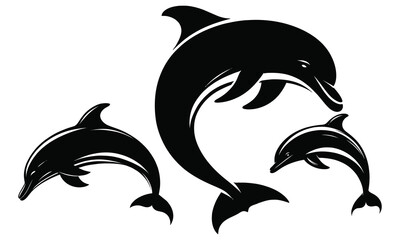 Fototapeta premium dolphin vector