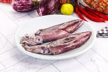Raw fresh squid for cooking