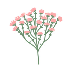 Illustration of pink wild spring flower