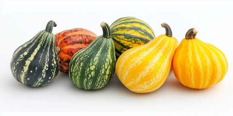 Verschiedene K&uuml;rbisse auf weissen Hintergrund, Foodfotografie, Werbebanner