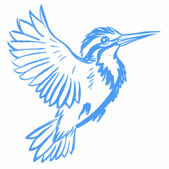 Obraz premium Hand-painted watercolor illustration of a flying Kingfisher bird, full-body, set against a white background