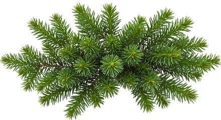 Naklejka premium Emerald Canopy AI Generated