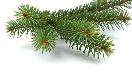 Evergreen Embrace AI Generated