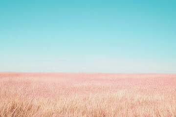 Obraz premium Violet field and clear blue sky