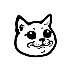 Funny Cat Face