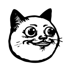 Funny Cat Face