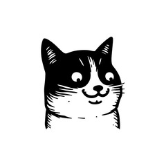 Obraz premium Funny Cat Face