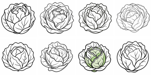 Cabbage – Outline Coloring Book Line Art Set