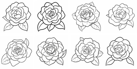 Camellia &ndash; Outline Coloring Book Line Art Set