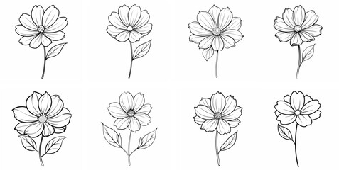 Cosmos Flower – Outline Coloring Book Line Art Set