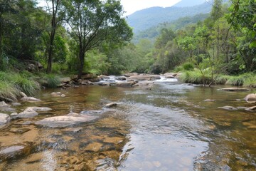 Serene Natural River Landscape Surrounded by Lush Green Forest and Majestic Mountains in Daylight