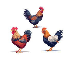 Three Colorful Roosters on White Background