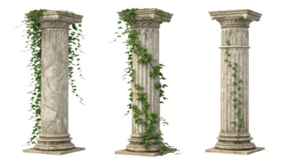 Ancient pillars adorned with lush green vines create serene atmosphere, showcasing nature beauty intertwined with architectural elegance