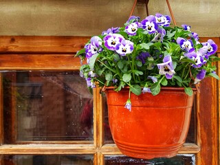 bouquet of flowers