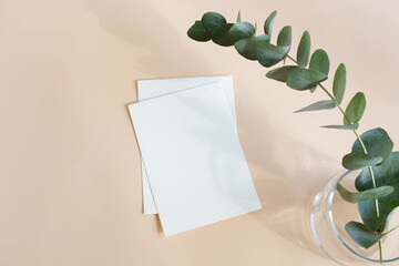 Blank card mockup, empty papers and eucalyptus branch on beige background with copy space