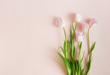 Pink tulip flowers bouquet on pink background template with copy space . Floral card mockup....