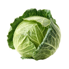 Obraz premium cabbage isolated on white