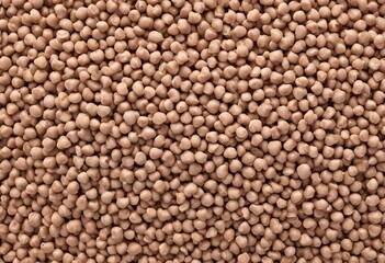 buckwheat isolated on white background