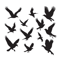 Obraz premium Flock of flying birds silhouette vector, Flying bird black silhouette vector set