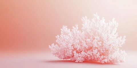 Fototapeta premium Delicate Coral Display
