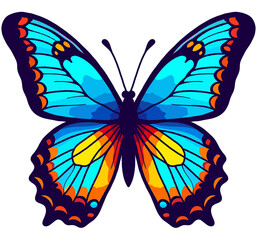 butterfly vector illustration