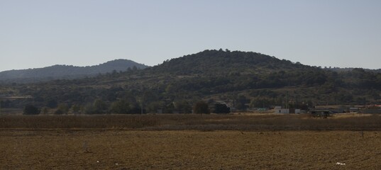 Obraz premium paisaje con colinas verdes con arboledas y fondo azul y campos de cultivo