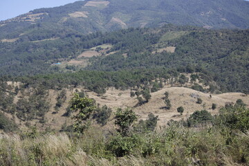 cerros y llanos con arboles y pastizales