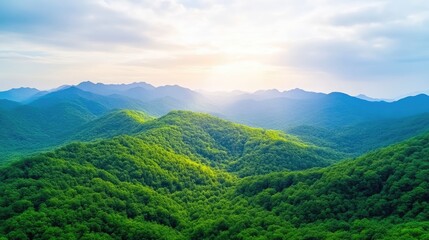Naklejka premium Lush green mountains stretch to a sunlit horizon. The image features rolling hills covered in dense forest. High-resolution, bright lighting enhances the vibrant greens. The style is serene and nat