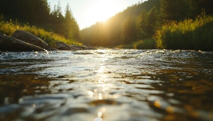 Fototapeta premium Sunlit stream flows gently through lush forest. Ideal for nature promotion