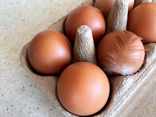 Close-up of fresh brown eggs in a paper carton, one of which is topped with a soft feather,...
