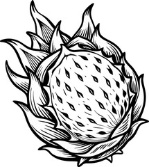 Obraz premium dragon fruit outline