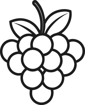 recommend clip art: grapes black line art